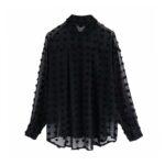 Aachoae-Polka-Dot-Embroidery-Chiffon-Blouse-Women-Long-Sleeve-See-Through-Shirt-Fashion-Turn-Down-Collar-Black-Casual-Blouses