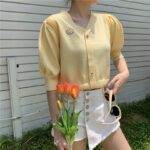 Aachoae-Sweet-Floral-Embroidery-Knitted-Top-Women-Chic-V-Neck-Summer-T-Shirt-Puff-Short-Sleeve-Casual-Tunic-Tops-Camiseta-Mujer