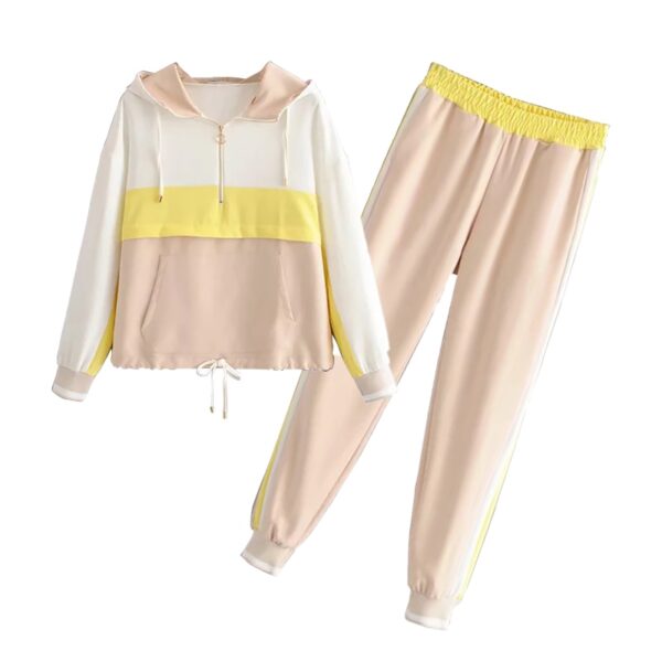 Aachoae Sports Style Two Piece Set Women Batwing Sleeve Patchwork Hooded Hoodies Full Length Casual Jogger Pants Lady Outfit