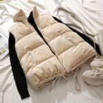 PinkyIsBlack-Winter-Vest-Women-Waistcoat-2020-Female-Sleeveless-Jacket-Stand-Collar-Warm-Velvet-Vest-Outwear-Colete-Feminino